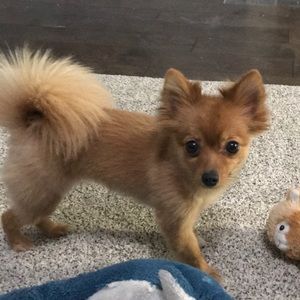 Meet your Posher, Raul